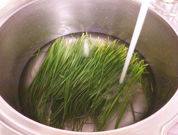 豆芽|怕胖多吃它,一把2块钱,两三天吃一次,清肠刮油,肚子没赘肉