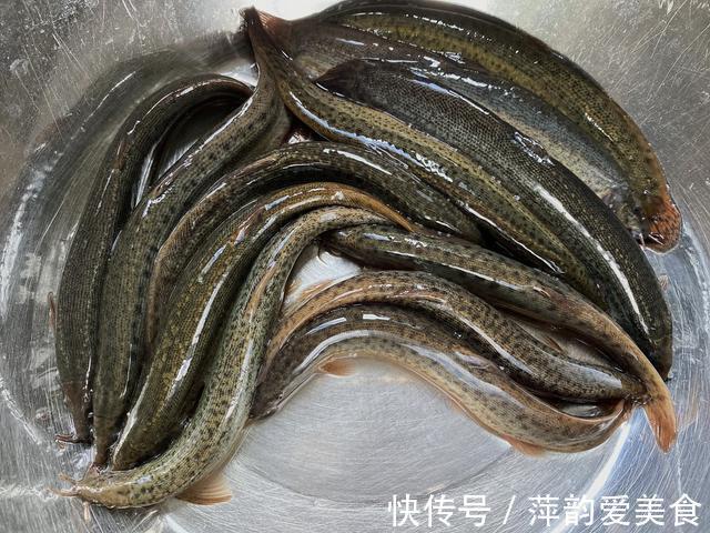 健康|泥鳅要不要掏内脏?很多人搞不明白,为了家人的健康,不妨看一看
