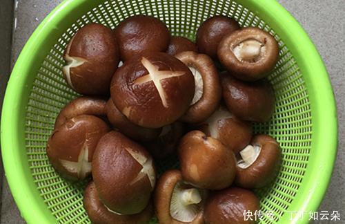 蚝油|蚝油酱烧香菇、香菇焖鸡,营养丰富,好吃下饭!