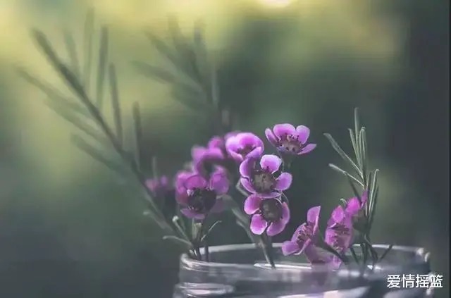 歧途!真正聪明的人,一辈子三不“碰”