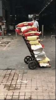 |搞笑GIF趣图:夫妻相相似度百分之九十九,好幸福哦