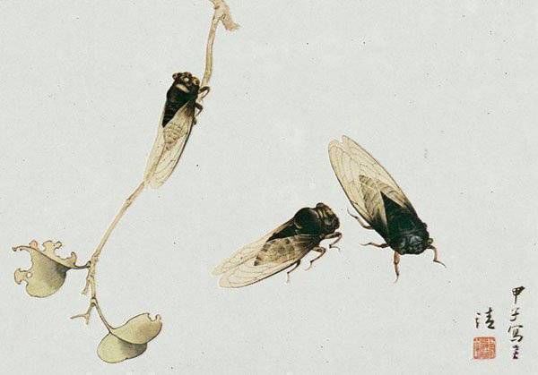 咏蝉$金蝉鸣炎夏居高声自远:古诗词中的咏蝉之作