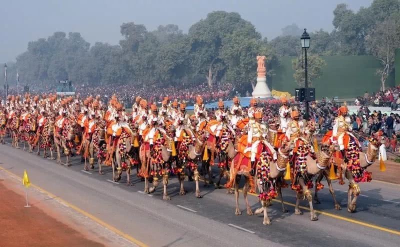 阿富汗人|波斯帝国晚期与印度的一场战争,印度派出大象兵,波斯放出骆驼兵