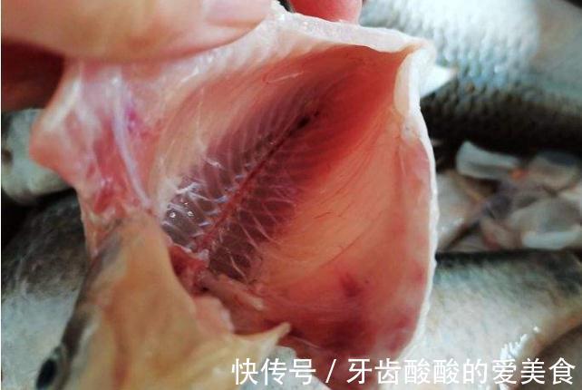 给鱼去腥,别只会用料酒!去除鱼身上4个地方,咋做鱼都香喷喷