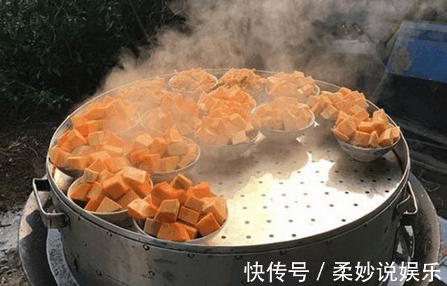 大妈|农村大妈地里什么都不种,唯独种了它,赚了大钱!