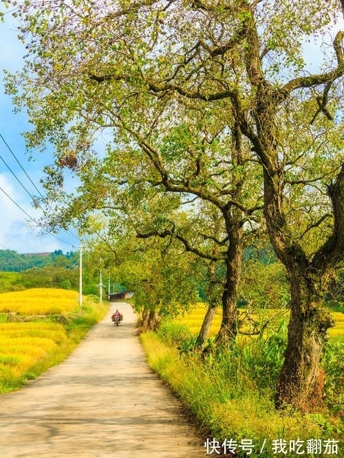 财情|4号开始到8·31号，桃花运旺盛，双喜临门，财情兼收的生肖