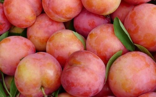 延缓衰老|不想变成黄脸婆,女性常吃5种食物,面色红润,延缓衰老,不发胖