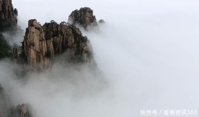 六朝如梦鸟空啼！唐诗中美到极致的绝句，每一首都好美，值得背诵