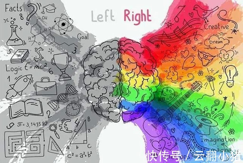 大脑|美国研究发现:宝宝大脑发育高峰期一生有两次,抓住一次受益一生