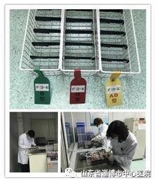 红细胞|淄博市中心医院开展Rh血型相容性输注，精准输血助力医疗安全