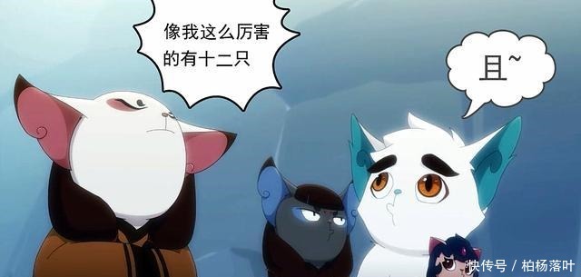 不光阴霾山谷有十二殇，云忧谷也有十二只猫，星罗班也在其中