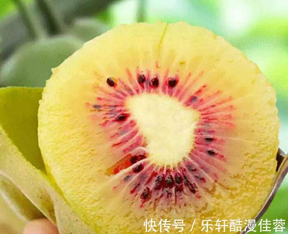 美味|小暑将至若条件允许,这6种水果记得要多吃,营养美味还不贵