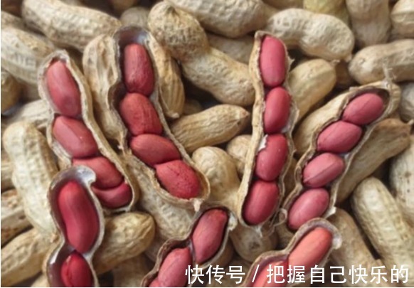 怀孕期间|孕期不能贪吃准妈别担心,其实有些零食可以吃点,对自身也好