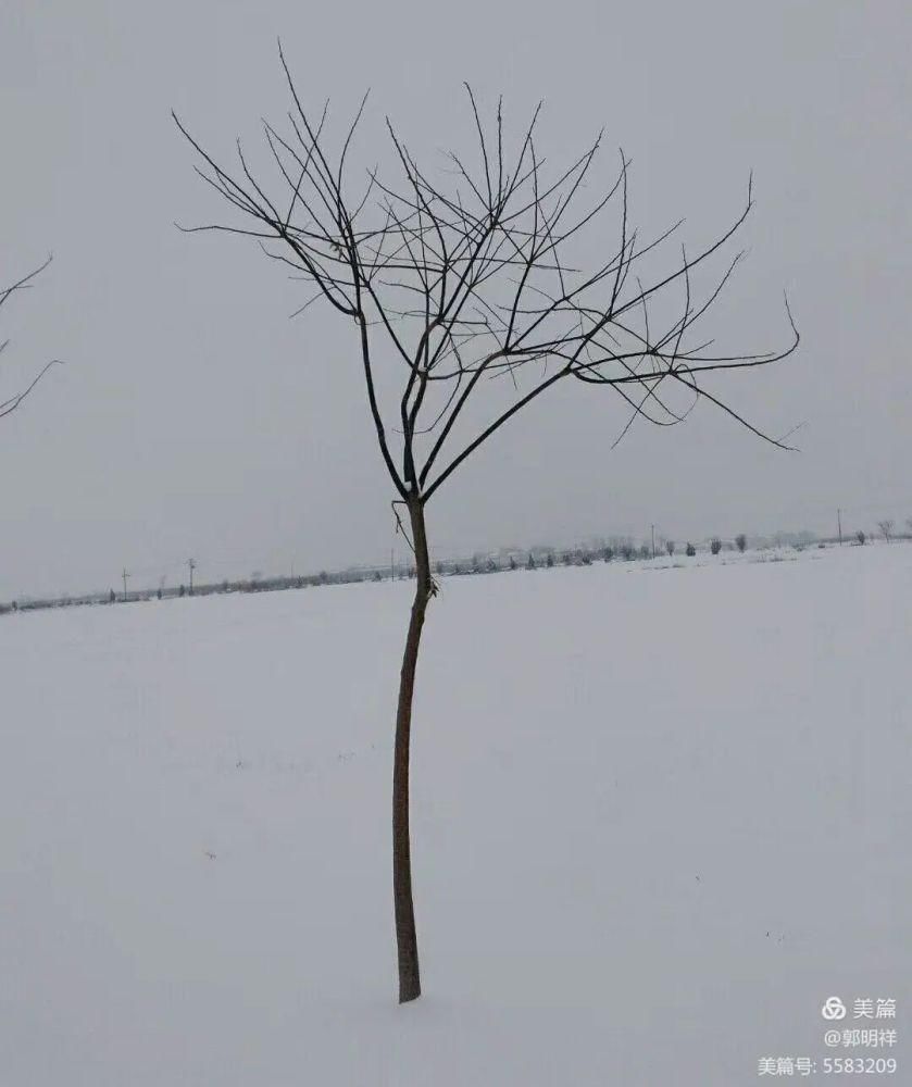 初冬|郭明祥‖ 初冬雪