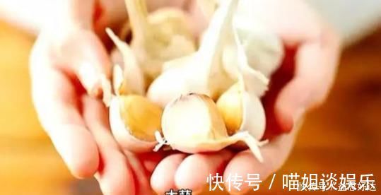 抗菌|救命的马齿苋，99的人不知道的作用再不吃就晚了