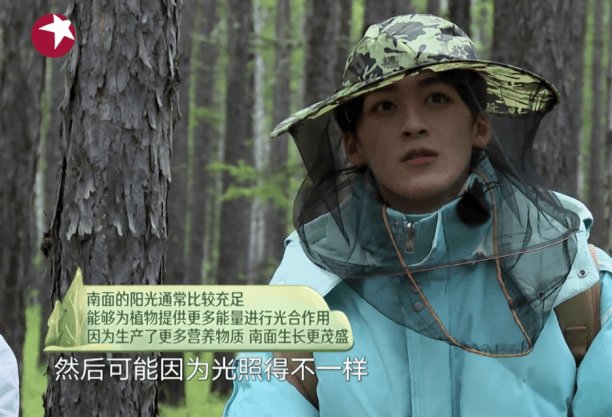 張彬彬|何洛洛森林知識(shí)高能對答，黃明昊神推理再次上線這個(gè)節(jié)目堪稱超神