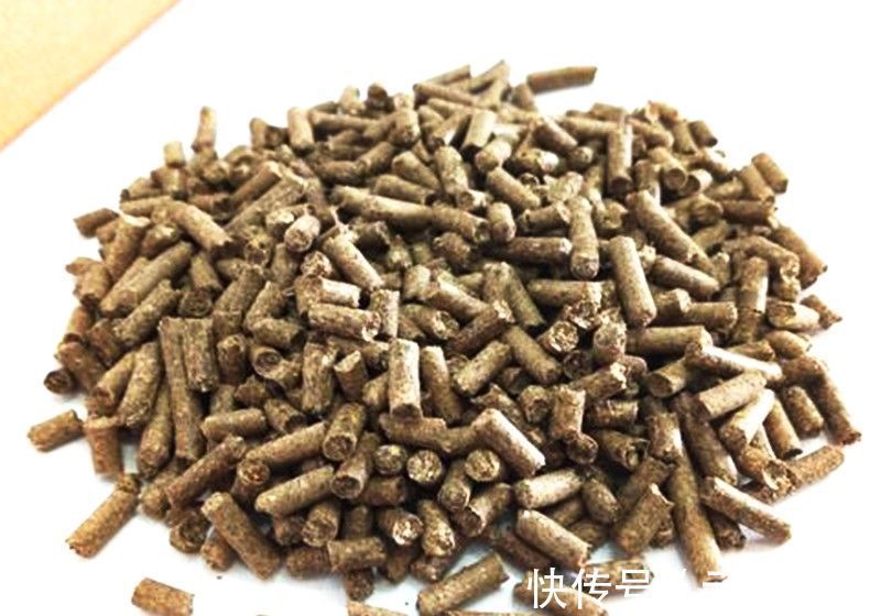 花钱都买不到的窝料配方,今日无偿送给钓鱼人,喜欢的拿走不谢