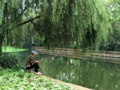 分享如何快速找到鲫鱼藏身的四大技巧,学会让你快速钓鲫鱼