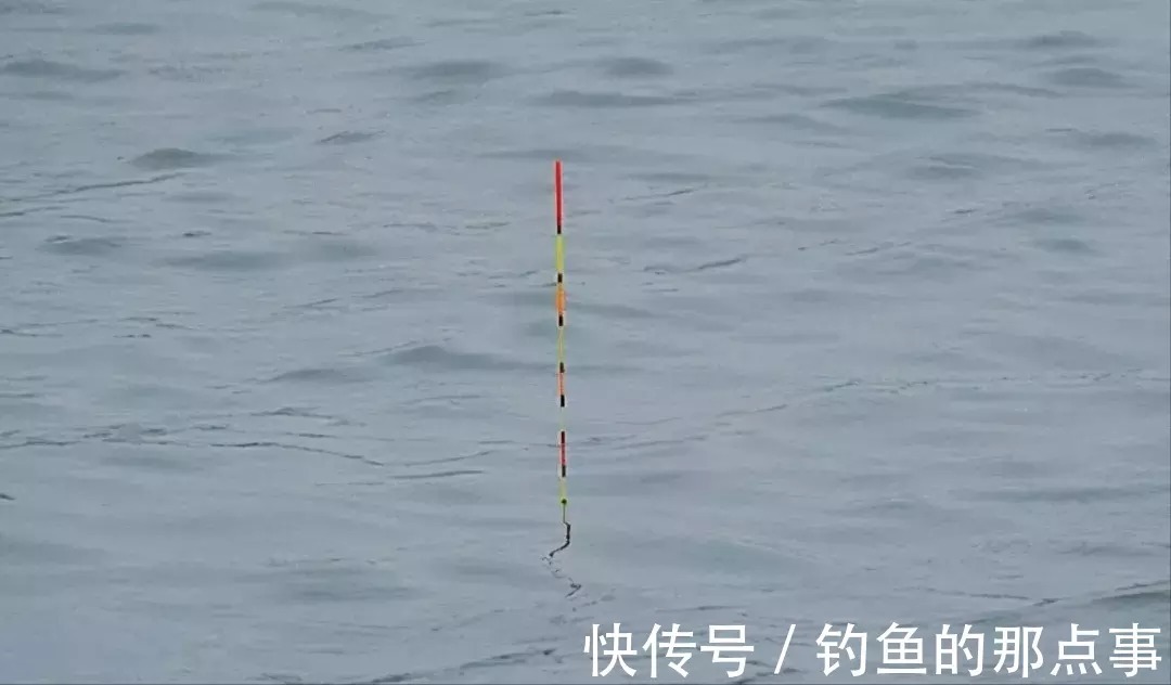 冬钓调漂秘诀,小钩细线配大漂,调钝钓钝抓送漂