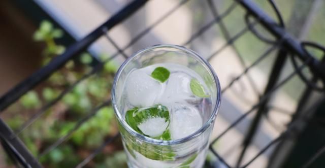 碰碰香|阳台上种了这东西,偶尔掐两片叶子泡个茶,提神醒脑超有用!