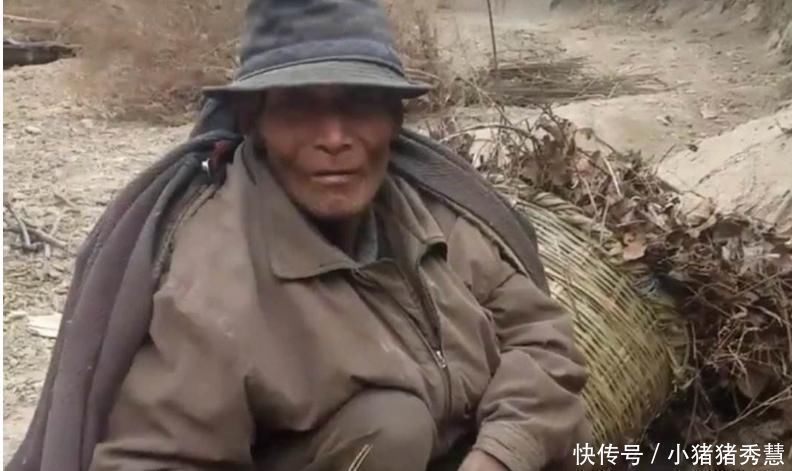 专家画1800元买了一捆“柴火”,运回家日夜鉴定,后价值5亿