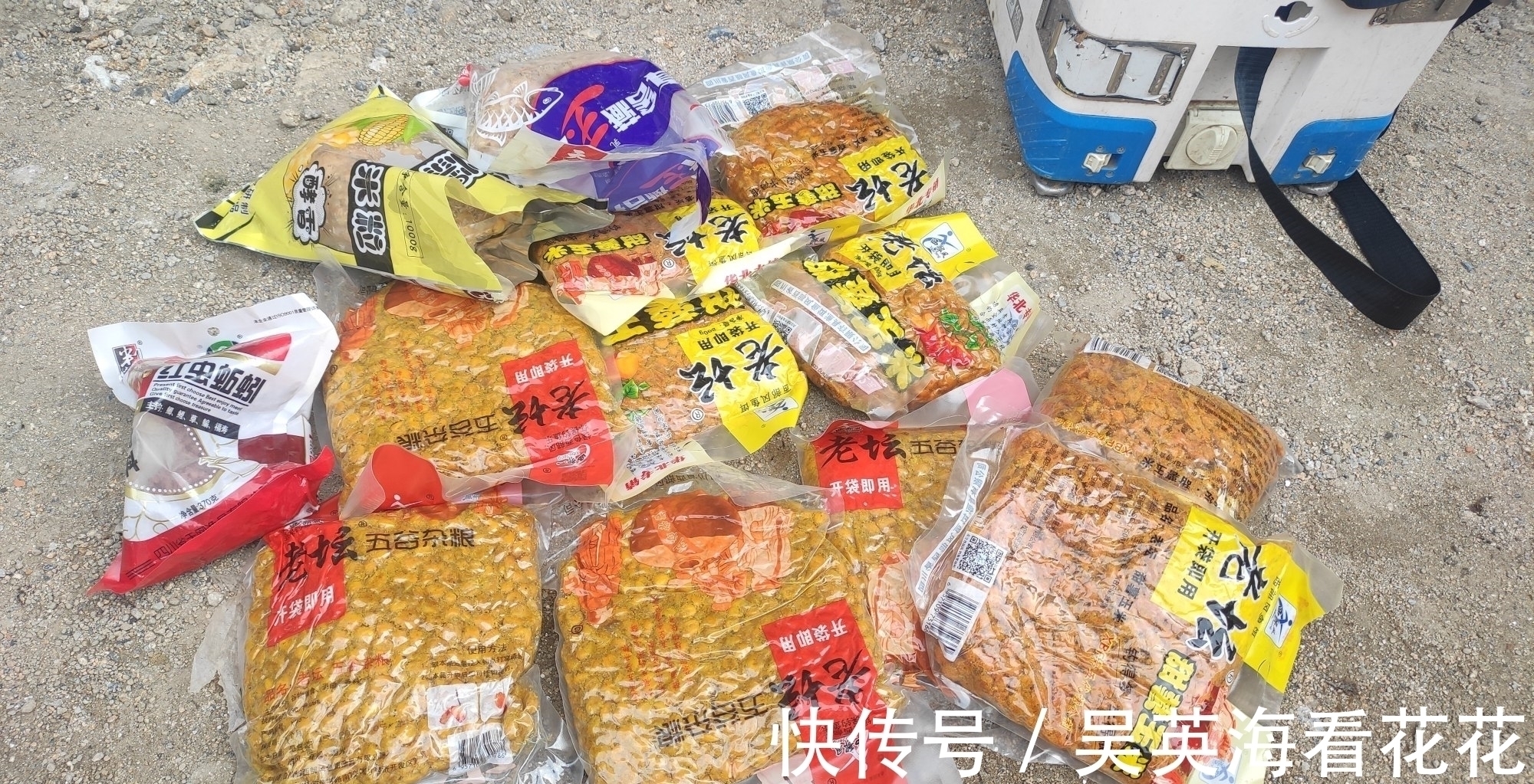 秋季野钓鲤鱼的秘密,用得好大鲤鱼排队咬钩,用不好只能钓鲫鱼