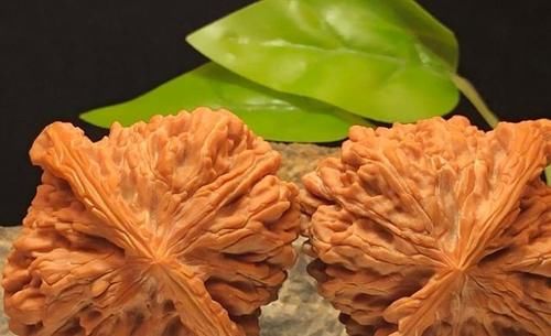 价值|中国有种核桃只能玩不能吃,品种多市场价值高,有钱人还喜欢