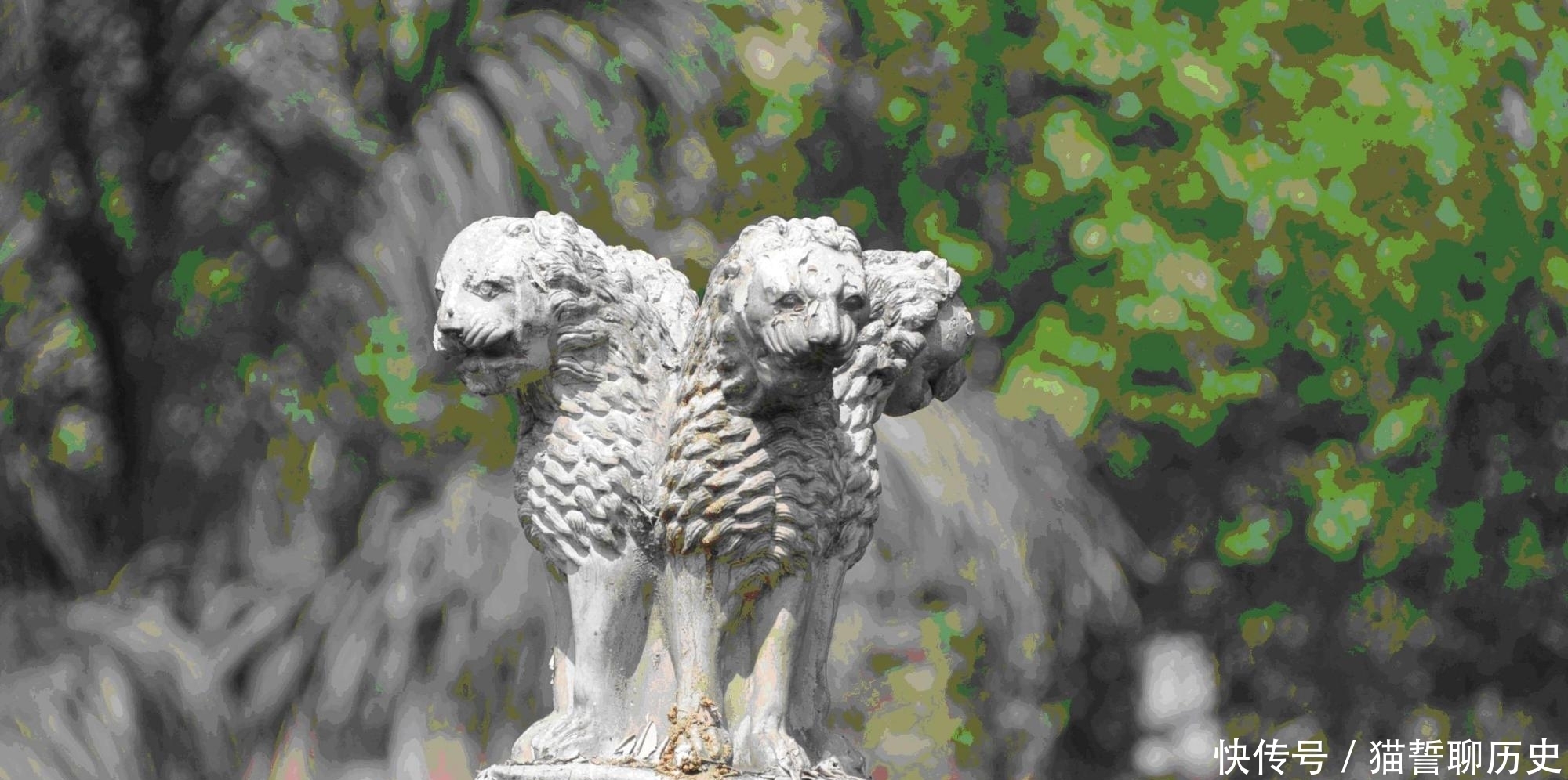 大街|印度为何很少吃牛肉,那些在大街随意溜达的牛,最终结局如何