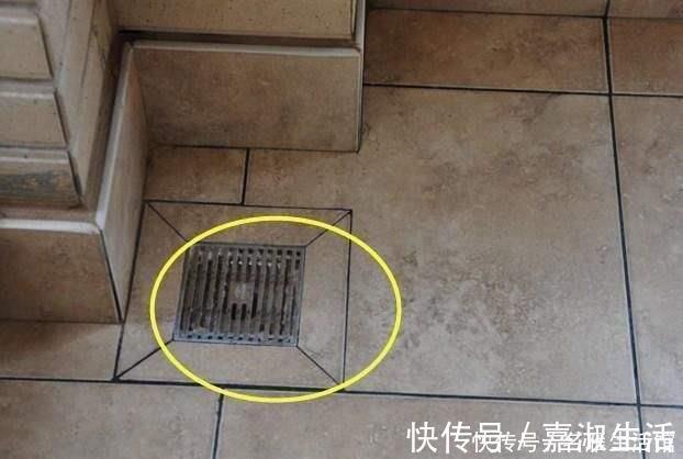 肠子|卫生间地漏一定不能这样安装,我家装错肠子都悔青了,聪明人就懂