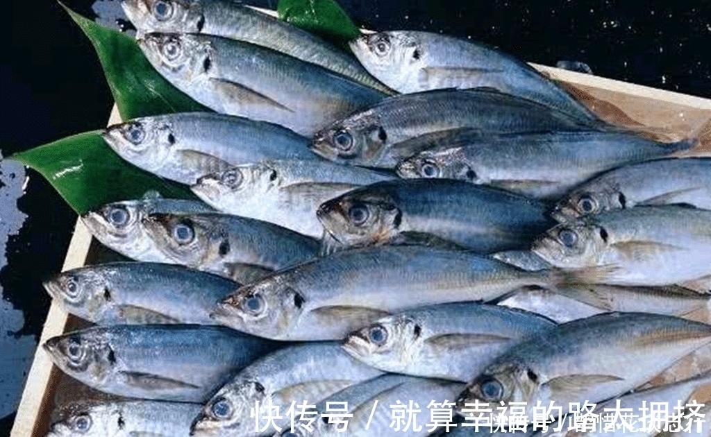海鲜摊位上这几种鱼是没有养殖的, 海鲜老板不一定告诉你!