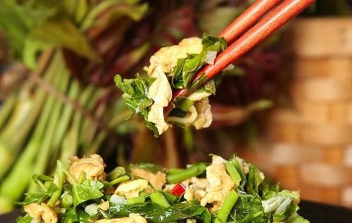 春季吃野菜正当时，这9种野菜，绿色无污染，多吃对身体好！