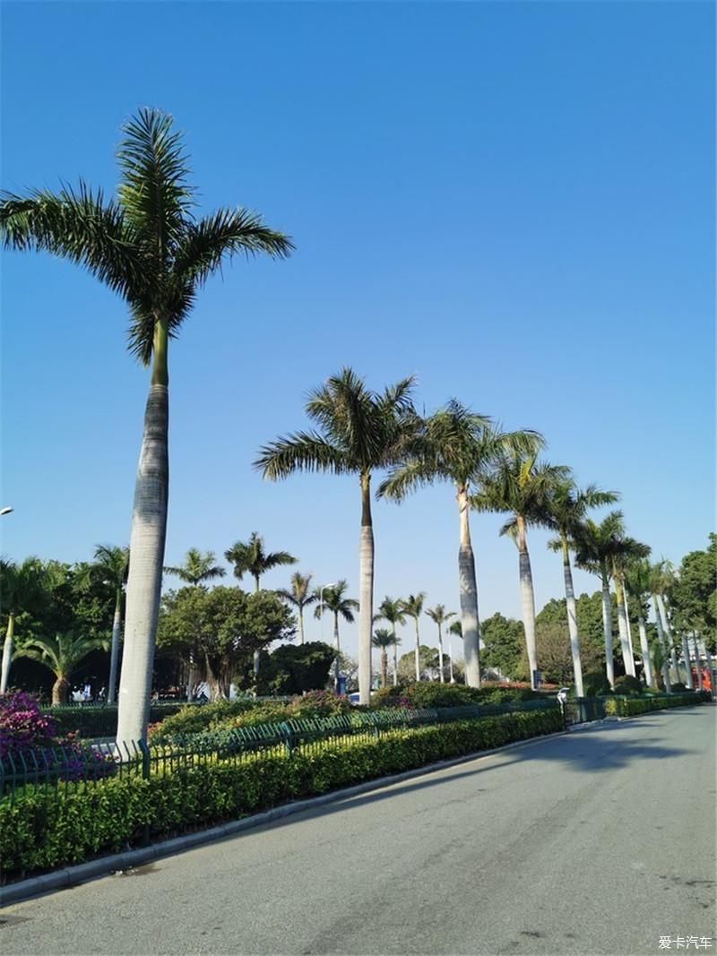 花海|厦门自由行