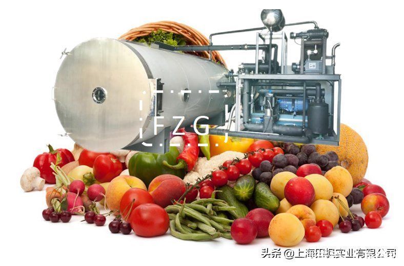 揭阳+正品冷冻食品有哪些品牌