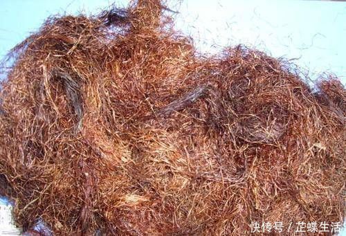 胎毒|怀孕后,孕妇经常吃这四种食物,可以消除胎儿的毒素,使婴儿出生后变白