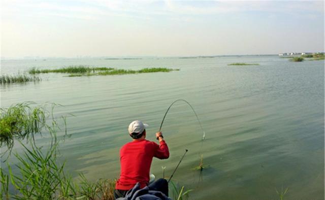 春季钓鲫鱼,钓场先小后大,渔获先大后小,节奏不能乱,有规律