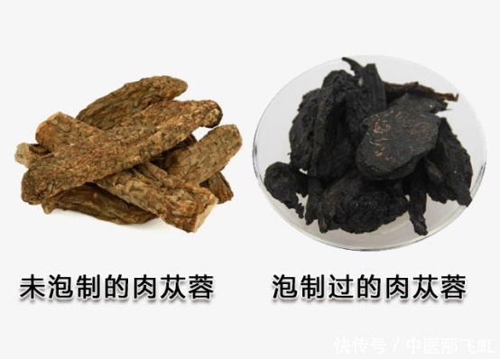 药食|药食两用的肉苁蓉,滋补肾阳不足、润肠通便的谦谦君子