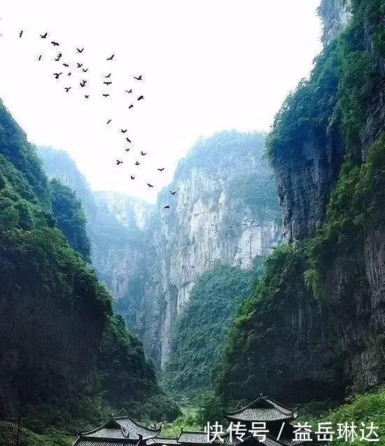 太美了，世界照片今天终于传来，罕见至极，一睹为快