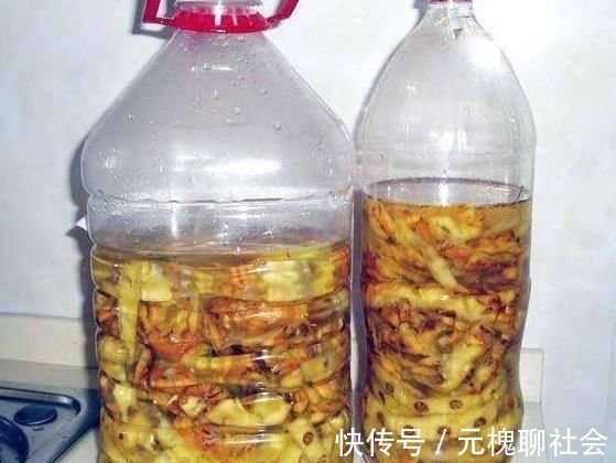 君子兰总是养不活往花盆里加点“好东西”,让植物越长越茂盛