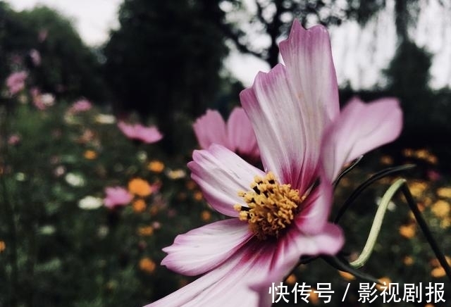 在乎你|桃花爆发，姻缘重现，挚爱降临，心有彼此，一生恩爱到底