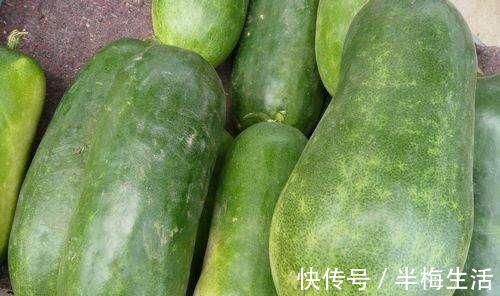 白皮|买冬瓜时，挑白皮还是挑黑皮的？老菜农说漏了嘴，以后别再乱买了
