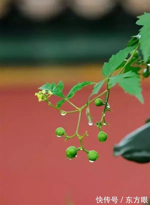 懂得@人生有度,过则为灾(经典)