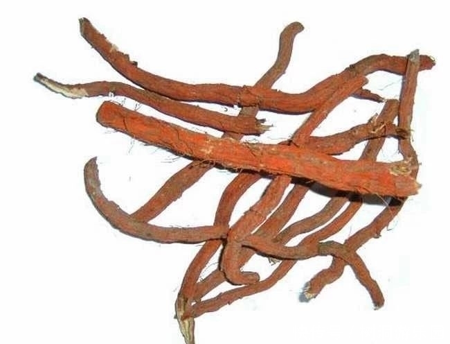 丹参一味，功同四物！到底是哪四物？