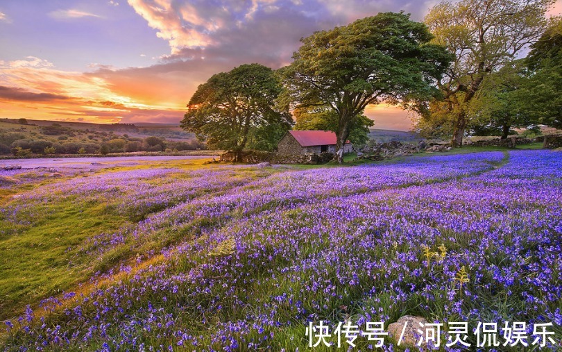 生肖|最“败家”的三大生肖女，花钱大手大脚却从不缺钱花，尤其生肖龙