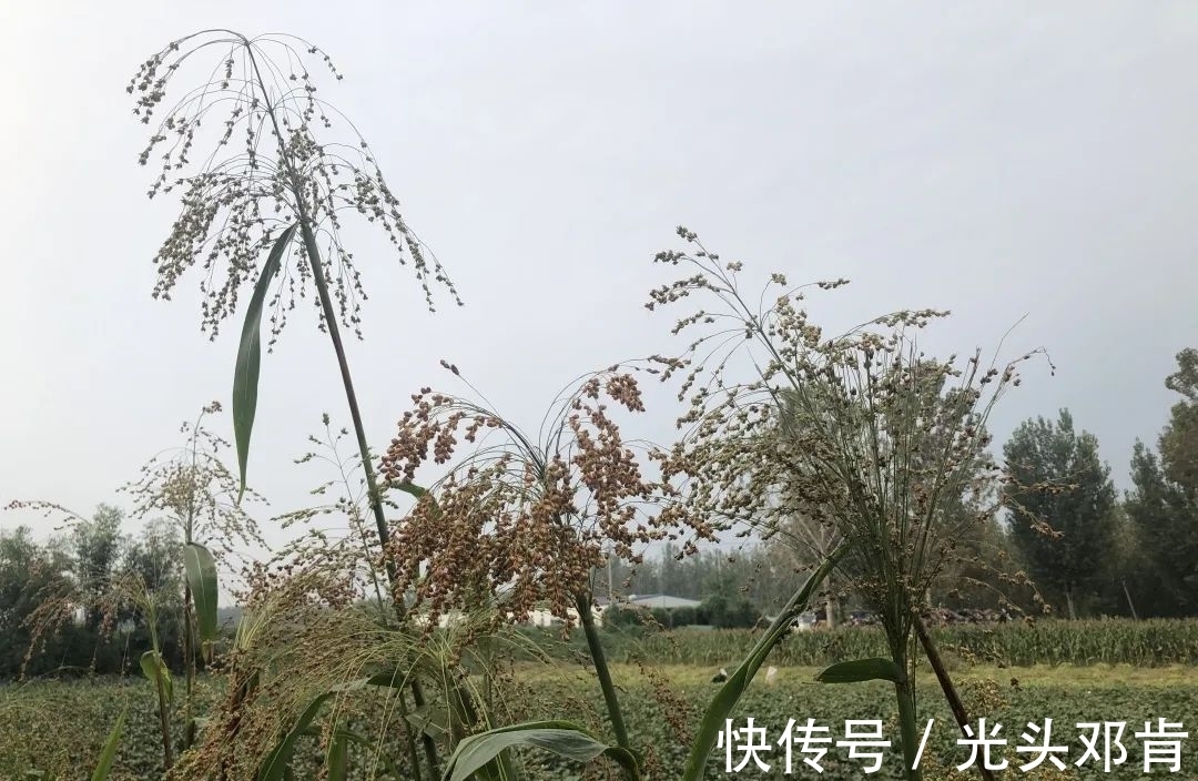 写生!著名画家王克举秋日大同浑源写生,描绘“心中的风景”