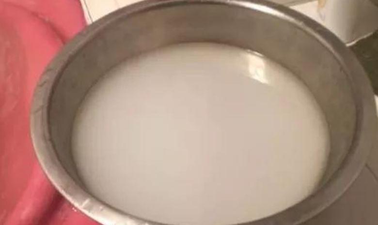 绿萝长得慢?多浇“2种水”,不用多花钱,茎叶就养得绿油油