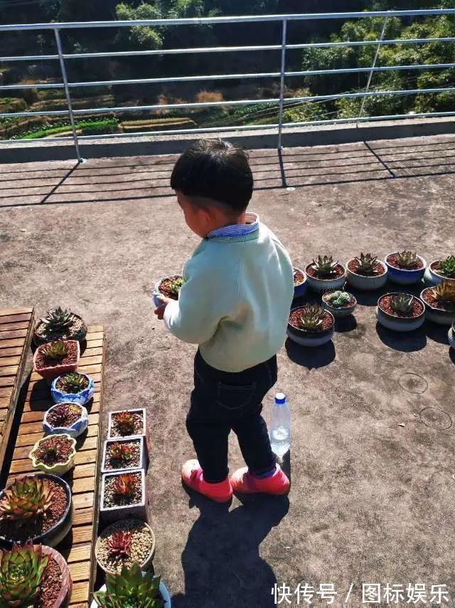 遇见,是一生!遇见多肉,是我的余生和全部!