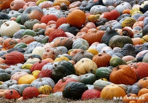 卷心菜|纯天然的“叶酸”,准妈妈隔三差五吃,“药补”还是不如“食补”