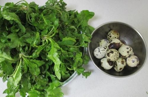 春天多给孩子吃“补脑菜”，蛋中有菜，菜中有蛋，胜过喝牛奶