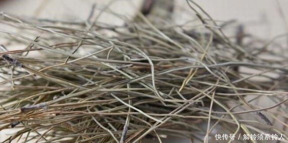 搜集的干松针,养花该怎么处理,如何用?