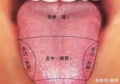 舌头|脾胃好不好，看舌头就知道!做好这2点脾胃问题大改善!